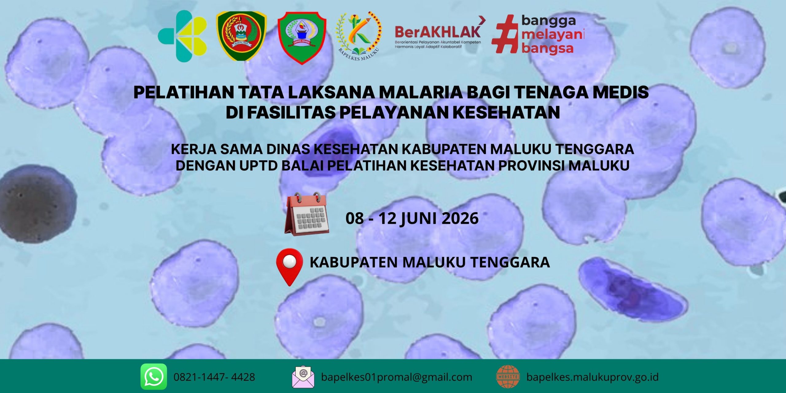 spanduk-Malaria-Malra